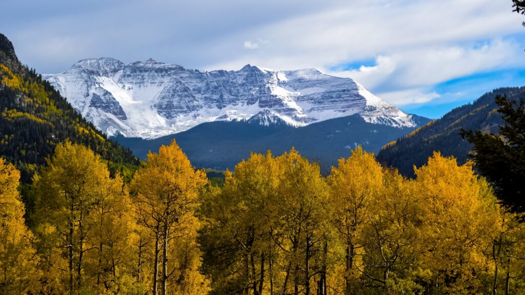 A view of lush green trees, a snow covered mountain can be seen in the back ground.