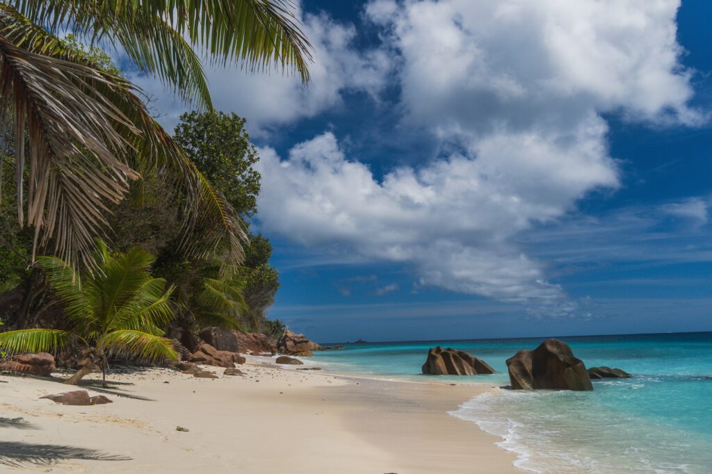 A white sand beach